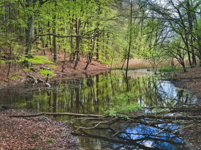 Biesenthaler Becken, Landscape in Barnim