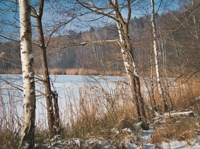 Winter in Biesenthal, Lobetal 