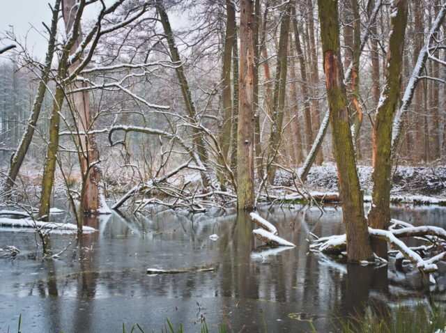 Hellsee, Biesenthaler Becken,  Biesenthal Nature Park,  Barnim