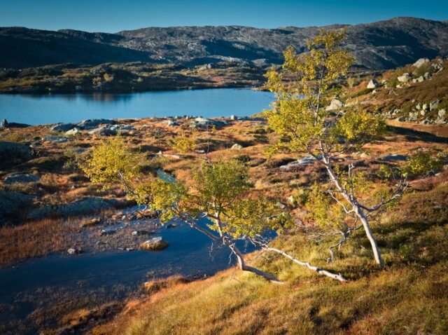 Setesdalsheiene, Sirdalsheiene, Ryfylkeheiane,Norway,outdoor,trekking,hiking