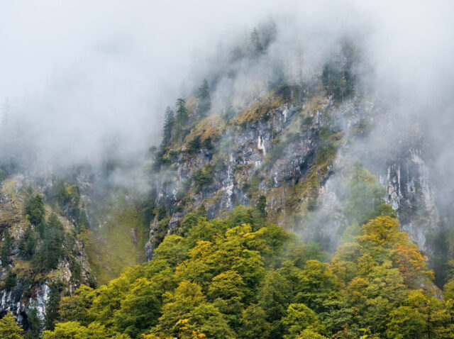 Ammergauer Alpen, Grainau, Oberammergau, Wettersteingebirge, Zugspitze
