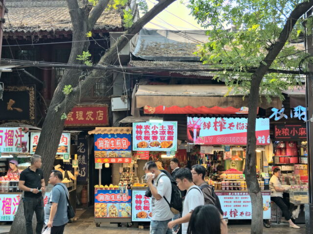 Xian, Old Town, Xian City Wall, Muslim Quarter, Giant Wild Goose Pagoda