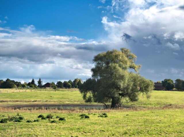 Bikepacking, Biesenthal, Oderbruch, Oderberg, Hohensaaten, Oder, Alte Oder, Parsteiner See