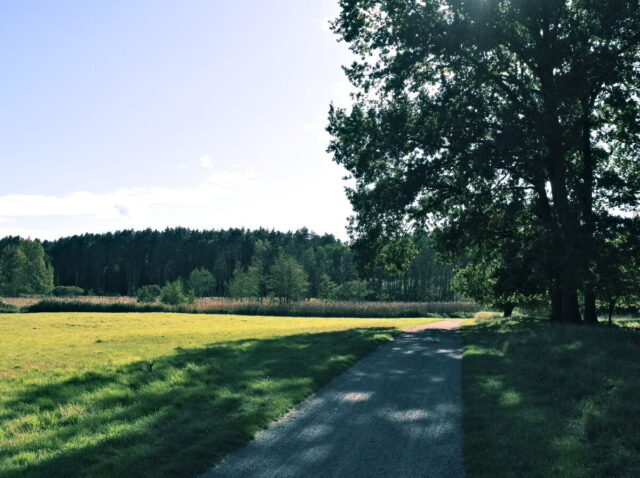 Bikepacking, Biesenthal, Oderbruch, Oderberg, Hohensaaten, Oder, Alte Oder, Parsteiner See