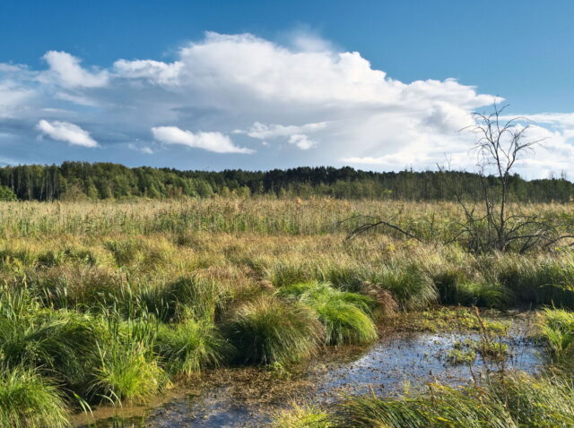 Bikepacking, Biesenthal, Oderbruch, Oderberg, Hohensaaten, Oder, Alte Oder, Parsteiner See