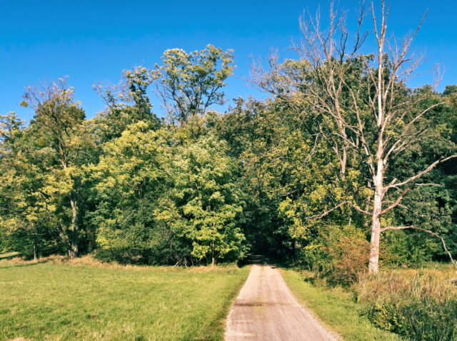 Bikepacking, Biesenthal, Oderbruch, Oderberg, Hohensaaten, Oder, Alte Oder, Parsteiner See