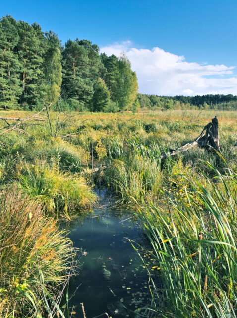 Bikepacking, Biesenthal, Oderbruch, Oderberg, Hohensaaten, Oder, Alte Oder, Parsteiner See