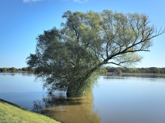 Bikepacking, Biesenthal, Oderbruch, Oderberg, Hohensaaten, Oder, Alte Oder, Parsteiner See