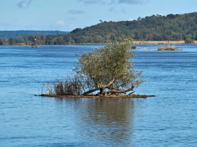 Bikepacking, Biesenthal, Oderbruch, Oderberg, Hohensaaten, Oder, Alte Oder, Parsteiner See