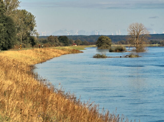 Bikepacking, Biesenthal, Oderbruch, Oderberg, Hohensaaten, Oder, Alte Oder, Parsteiner See