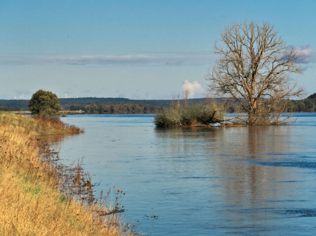 Bikepacking, Biesenthal, Oderbruch, Oderberg, Hohensaaten, Oder, Alte Oder, Parsteiner See