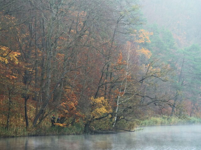 Barnim, Biesenthal, Biesenthaler Becken, Lanke, Germany, autumn, fog