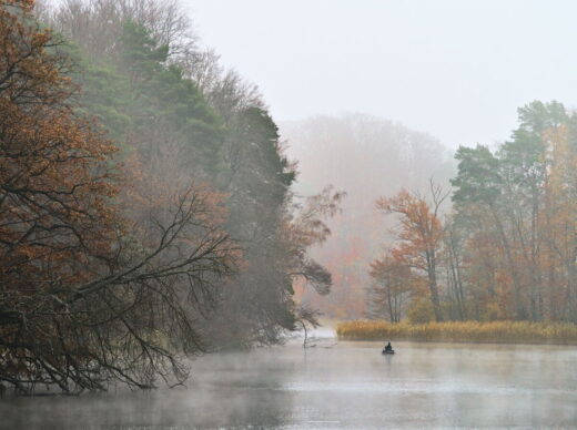 Barnim, Biesenthal, Biesenthaler Becken, Lanke, Germany, autumn, fog