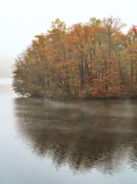 Barnim, Biesenthal, Biesenthaler Becken, Lanke, Germany, autumn, fog