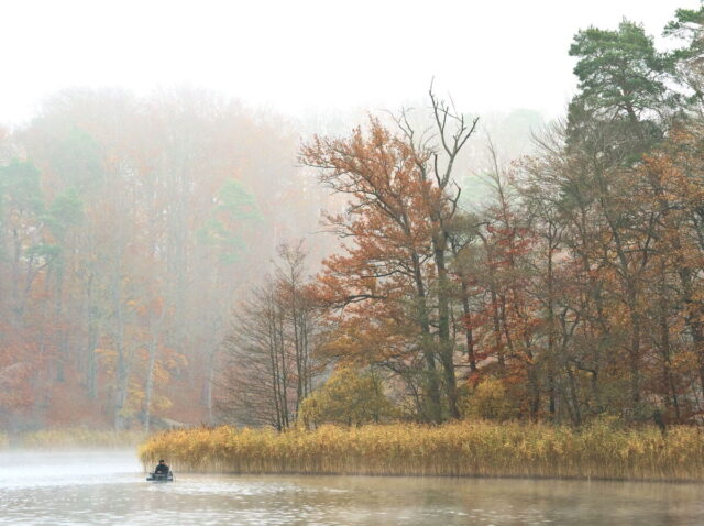 Barnim, Biesenthal, Biesenthaler Becken, Lanke, Germany, autumn, fog