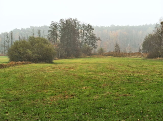 Barnim, Biesenthal, Biesenthaler Becken, Lanke, Germany, autumn, fog