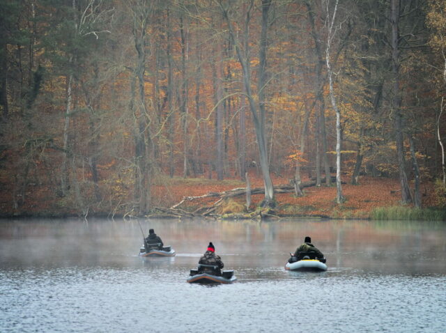 Barnim, Biesenthal, Biesenthaler Becken, Lanke, Germany, autumn, fog