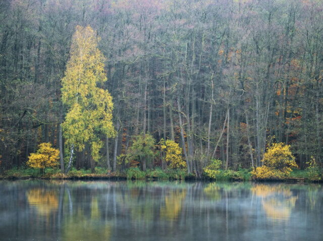 Barnim, Biesenthal, Biesenthaler Becken, Lanke, Germany, autumn, fog