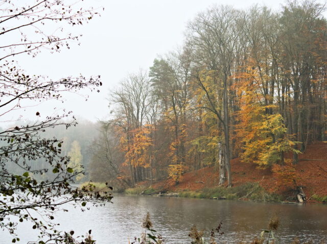 Barnim, Biesenthal, Biesenthaler Becken, Lanke, Germany, autumn, fog