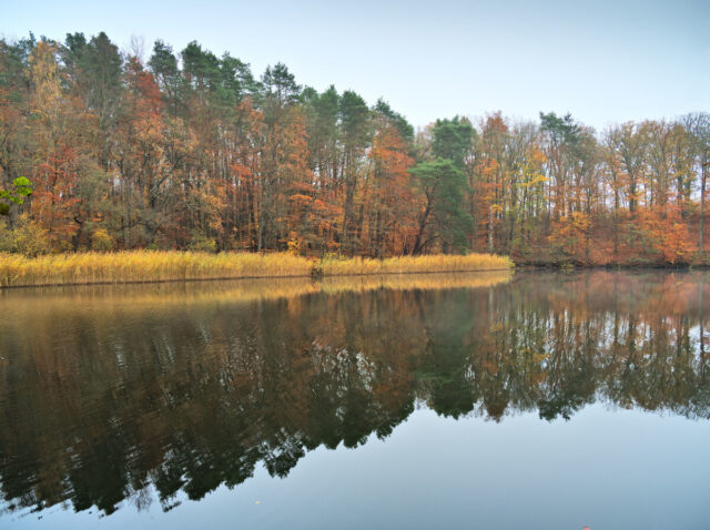 Barnim, Biesenthal, Biesenthaler Becken, Lanke, Germany, autumn, fog