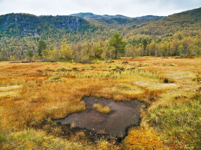 Norway, 2024, Bykle, Bykleheiane, Bygland, Byglandfjord, Otra, Setesdalen, Kristiansand