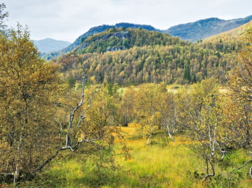 Norway, 2024, Bykle, Bykleheiane, Bygland, Byglandfjord, Otra, Setesdalen, Kristiansand