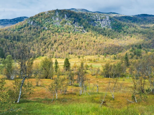 Norway, 2024, Bykle, Bykleheiane, Bygland, Byglandfjord, Otra, Setesdalen, Kristiansand