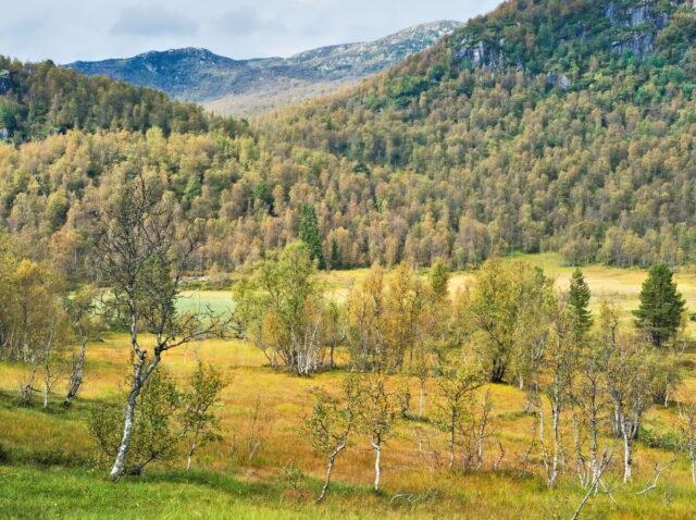 Norway, 2024, Bykle, Bykleheiane, Bygland, Byglandfjord, Otra, Setesdalen, Kristiansand