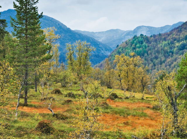 Norway, 2024, Bykle, Bykleheiane, Bygland, Byglandfjord, Otra, Setesdalen, Kristiansand