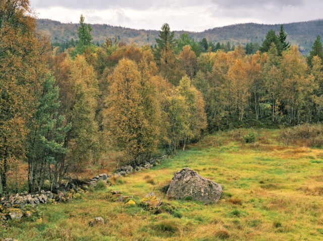 Norway, 2024, Bykle, Bykleheiane, Bygland, Byglandfjord, Otra, Setesdalen, Kristiansand