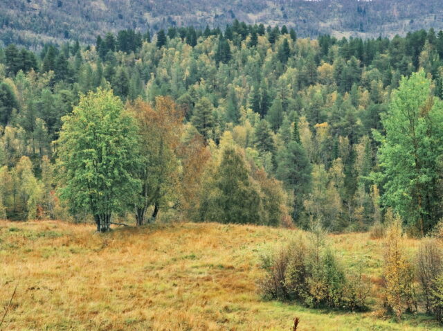 Norway, 2024, Bykle, Bykleheiane, Bygland, Byglandfjord, Otra, Setesdalen, Kristiansand