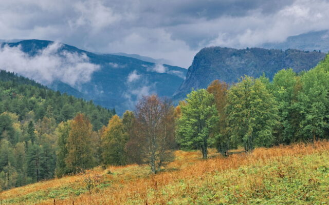 Norway, 2024, Bykle, Bykleheiane, Bygland, Byglandfjord, Otra, Setesdalen, Kristiansand