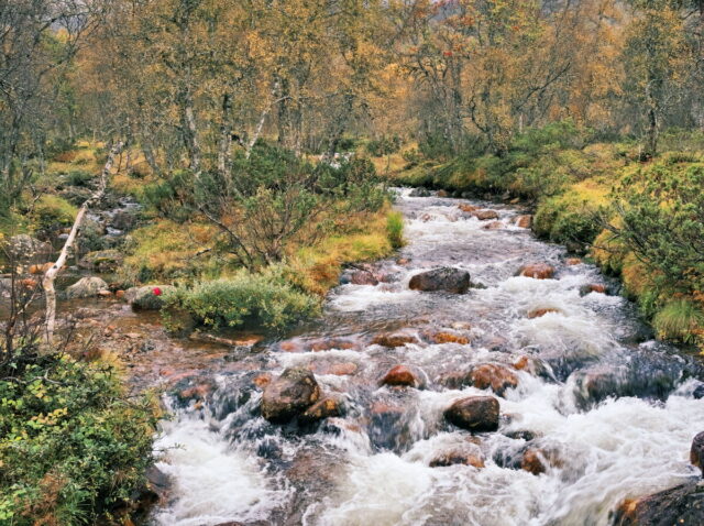 Norway, 2024, Bykle, Bykleheiane, Bygland, Byglandfjord, Otra, Setesdalen, Kristiansand