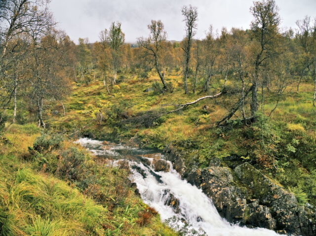 Norway, 2024, Bykle, Bykleheiane, Bygland, Byglandfjord, Otra, Setesdalen, Kristiansand