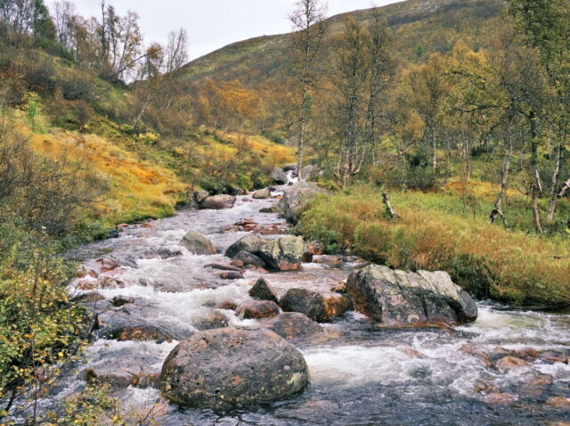 Norway, 2024, Bykle, Bykleheiane, Bygland, Byglandfjord, Otra, Setesdalen, Kristiansand