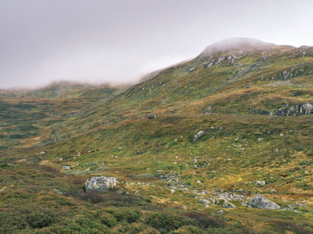 Norway, 2024, Bykle, Bykleheiane, Bygland, Byglandfjord, Otra, Setesdalen, Kristiansand