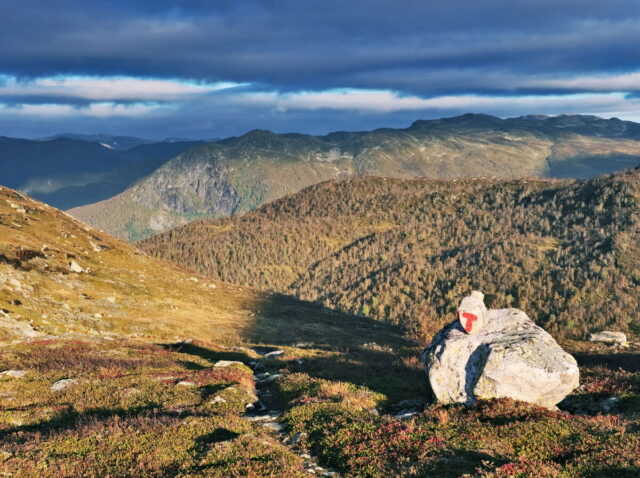 Norway, 2024, Bykle, Bykleheiane, Bygland, Byglandfjord, Otra, Setesdalen, Kristiansand