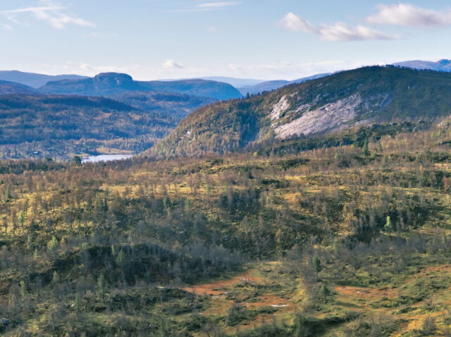 Norway, 2024, Bykle, Bykleheiane, Bygland, Byglandfjord, Otra, Setesdalen, Kristiansand