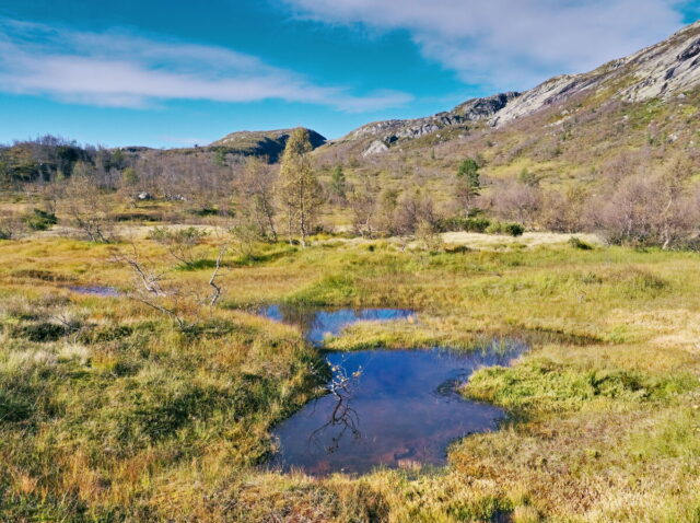 Norway, 2024, Bykle, Bykleheiane, Bygland, Byglandfjord, Otra, Setesdalen, Kristiansand