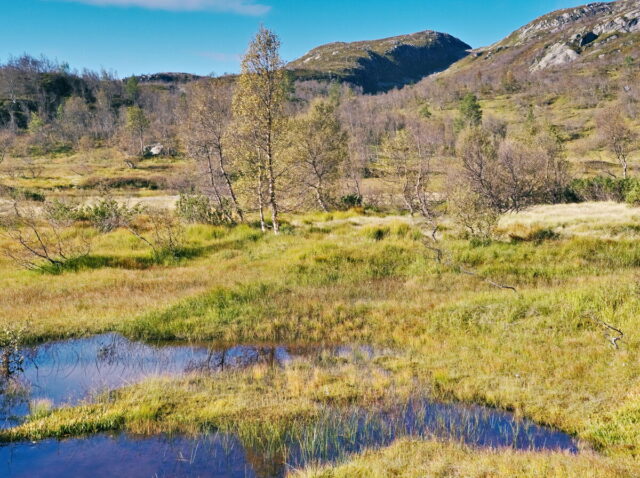 Norway, 2024, Bykle, Bykleheiane, Bygland, Byglandfjord, Otra, Setesdalen, Kristiansand