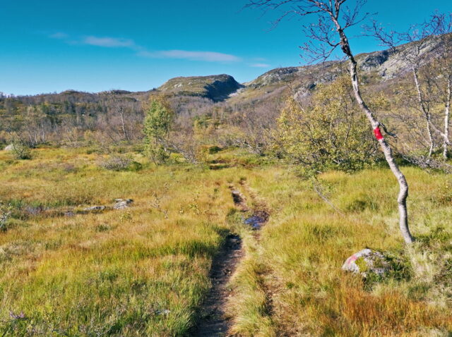 Norway, 2024, Bykle, Bykleheiane, Bygland, Byglandfjord, Otra, Setesdalen, Kristiansand