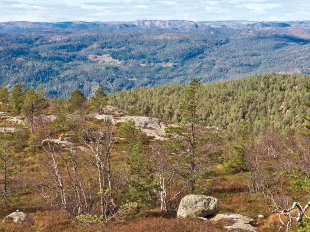 Norway, 2024, Bykle, Bykleheiane, Bygland, Byglandfjord, Otra, Setesdalen, Kristiansand