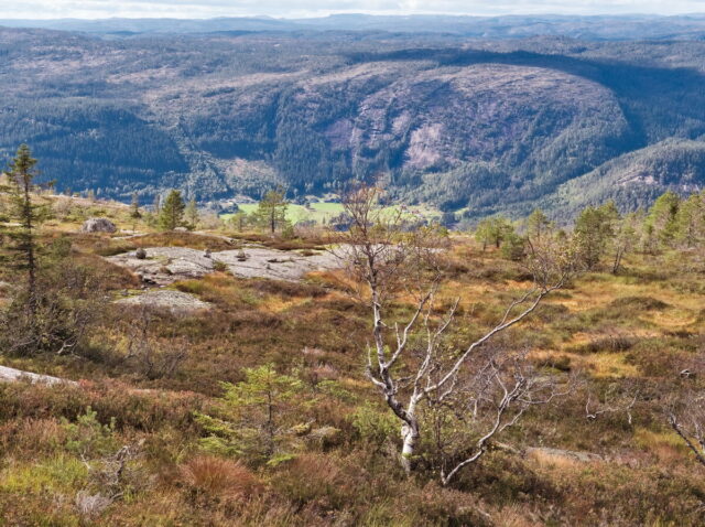 Norway, 2024, Bykle, Bykleheiane, Bygland, Byglandfjord, Otra, Setesdalen, Kristiansand