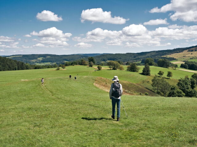 Rhön, Rhön Mountains, Hessen, Hesse, Germany, Fulda, Gersfeld, Wasserkuppe, Milsburg