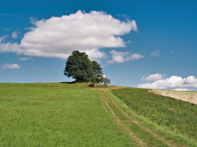 Rhön, Rhön Mountains, Hessen, Hesse, Germany, Fulda, Gersfeld, Wasserkuppe, Milsburg