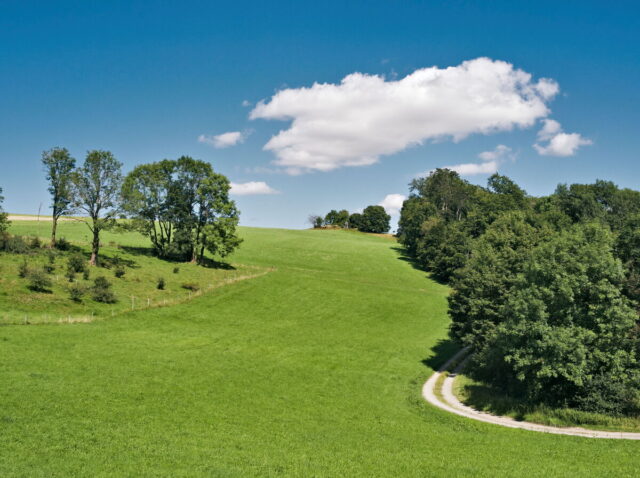 Rhön, Rhön Mountains, Hessen, Hesse, Germany, Fulda, Gersfeld, Wasserkuppe, Milsburg