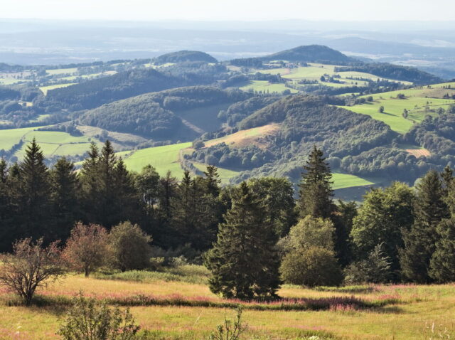 Rhön, Rhön Mountains, Hessen, Hesse, Germany, Fulda, Gersfeld, Wasserkuppe, Milsburg