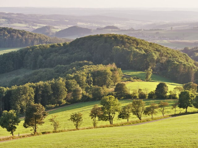 Rhön, Rhön Mountains, Hessen, Hesse, Germany, Fulda, Gersfeld, Wasserkuppe, Milsburg