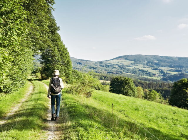 Rhön, Rhön Mountains, Hessen, Hesse, Germany, Fulda, Gersfeld, Wasserkuppe, Milsburg