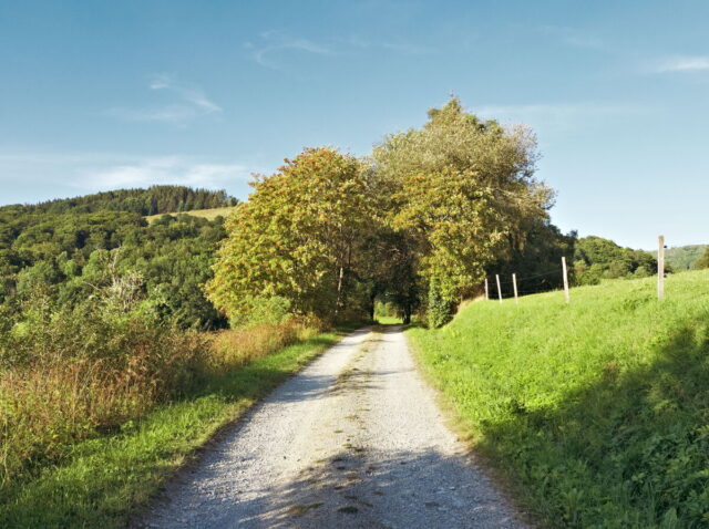 Rhön, Rhön Mountains, Hessen, Hesse, Germany, Fulda, Gersfeld, Wasserkuppe, Milsburg